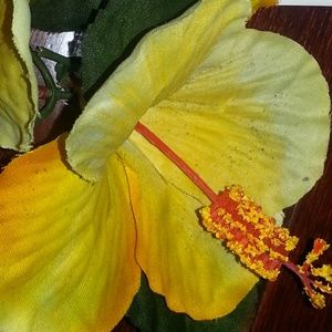 Meet your Posher, Krys